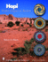 Hopi Wicker Plaques & Baskets