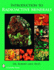 Introduction to Radioactive Minerals