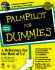Palm Pilot for Dummies