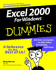 Excel 2000 for Windows for Dummies (for Dummies Series)