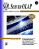 Microsoft Sql Server Olap Developer's Guide