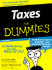Taxes for Dummies