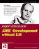 Expert One-to-One J2ee Development