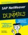 Sap Netweaver for Dummies