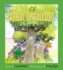 El �rbol Orgulloso