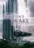 Newton's Wake: a Space Opera