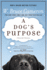 A Dog's Purpose: a Novel for Humans (a Dog's Purpose, 1)