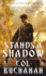 Stands a Shadow
