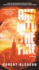 And Into the Fire: a Novel