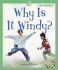 Why is It Windy? (I Like Weather! )