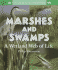 Marshes and Swamps: a Wetland Web of Life (Wonderful Water Biomes)