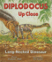 Diplodocus Up Close: Long-Necked Dinosaur (Zoom in on Dinosaurs! )