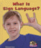 What is Sign Language? (Overcoming Barriers)
