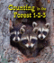 Counting in the Forest 1-2-3 (All About Counting in the Biomes: Guided Reading Level: a)