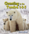 Counting in the Tundra 1-2-3 (All About Counting in the Biomes)