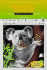 Koala (Wildlife, Habits and Habitat)