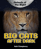 Big Cats After Dark (Animals of the Night)