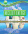 Nuclear Energy (Saving the Planet Through Green Energy)