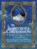 The Sorcerer's Companion: a Guide to the Magical World of Harry Potter