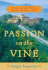 Passion on the Vine: a Memoir of Food, Wine, and Family in the Heart of Italy