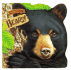 Bears (Know It Alls)