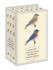 Sibley Backyard Birding Postcards Format: Cards