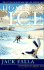 Home Ice: Reflections on Backyard Rinks and Frozen Ponds