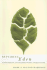Repairing Eden: Humility, Mysticism, and the Existential Problem of Religious Diversity