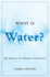 What is Water? : the History of a Modern Abstraction (Nature | History | Society)
