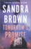 Tomorrow's Promise: a Novel-an Unforgettable Historical Romance of Sacrifice and Second Chances