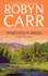 Temptation Ridge (a Virgin River Novel, 6)