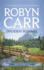 Hidden Summit (Virgin River Novels)