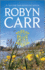 Blue Skies: a Fan-Favorite Women's Fiction and Romance Story of Second Chances