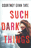 Such Dark Things: a Novel of Psychological Suspense