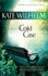 Cold Case (a Barbara Holloway Novel)
