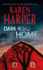 Dark Road Home (a Maplecreek Amish Novel, 1)