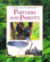 Partners and Parents: By Michael Chinery (Secrets of the Rain Forest)