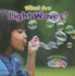 What Are Light Waves? (Light and Sound Waves Close-Up)