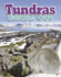 Tundras Inside Out (Ecosystems Inside Out)
