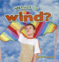What is Wind? (Weather Close-Up)