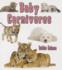 Baby Carnivores (It's Fun to Learn About Baby Animals)