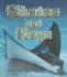 Skates and Rays (the Living Ocean)
