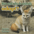 How and Why Do Animals Adapt? (All About Animals Close-Up); 9780778714712; 0778714713