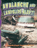 Avalanche and Landslide Alert! (Disaster Alert! )
