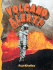 Volcano Alert (Disaster Alert! )