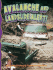 Avalanche and Landslide Alert! (Disaster Alert! )