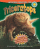 Triceratops (Smithsonian Prehistoric Zone)