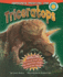 Triceratops (Smithsonian Prehistoric Zone)
