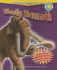 Woolly Mammoth (Smithsonian Prehistoric Zone)