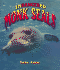 Endangered Monk Seals (Earth's Endangered Animals, 2)